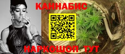 apvp Можга