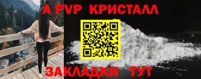 прущие крисы Моздок